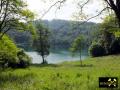 Gemündener Maar bei Daun in der Vulkaneifel, Rheinland-Pfalz, (D) (6) 01. Juni 2014.JPG